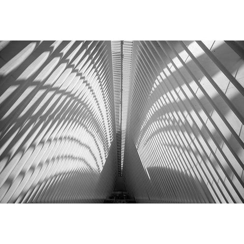 Oculus Ceiling, World Trade Center, NYC Gold Ornate Wood Framed Art Print with Double Matting by Graciet, Stephane