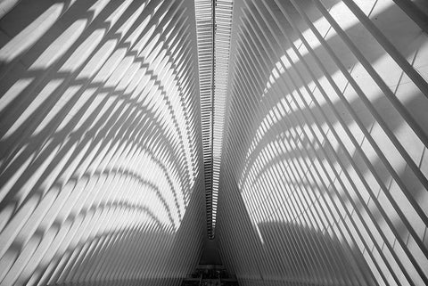 Oculus Ceiling, World Trade Center, NYC Black Ornate Wood Framed Art Print with Double Matting by Graciet, Stephane
