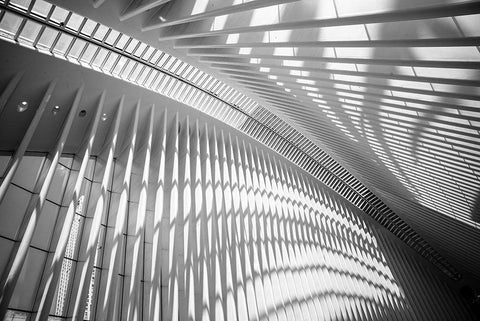 Oculus Ceiling II, World Trade Center, NYC Black Ornate Wood Framed Art Print with Double Matting by Graciet, Stephane