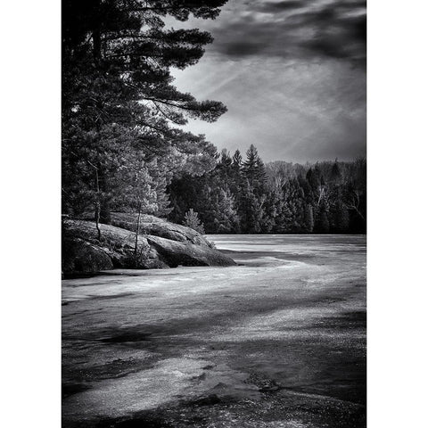 Gull Wing Lake White Modern Wood Framed Art Print by Carson, Brian