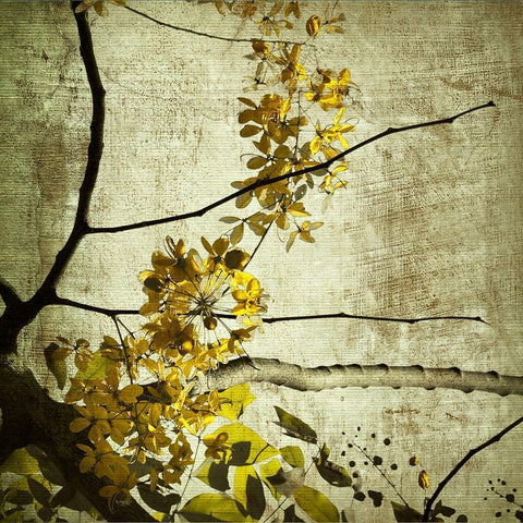 Yellow Kerala Blossoms Gold Ornate Wood Framed Art Print with Double Matting by Anonymous