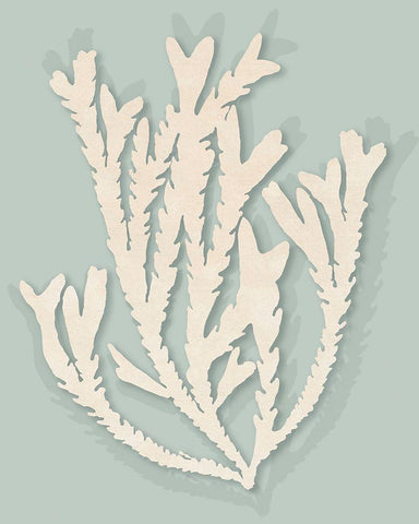 Ocean Rockweed II. White Modern Wood Framed Art Print with Double Matting by Inuit Â