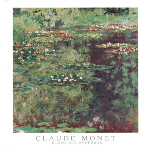 Etang aux Nympheas Black Modern Wood Framed Art Print with Double Matting by Monet, Claude