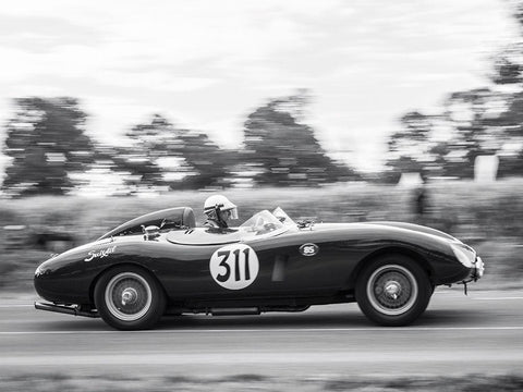 Vintage race Black Ornate Wood Framed Art Print with Double Matting by BRAUN Studio