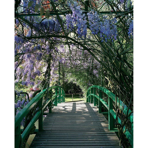 Jardin de Monet a Giverny I Black Modern Wood Framed Art Print with Double Matting by Pinsard, Laurent