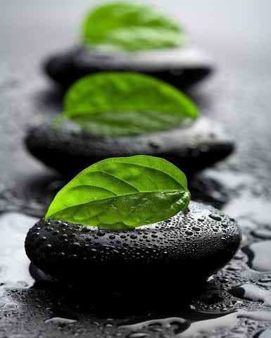 Bien-être White Modern Wood Framed Art Print with Double Matting by Braun Studio