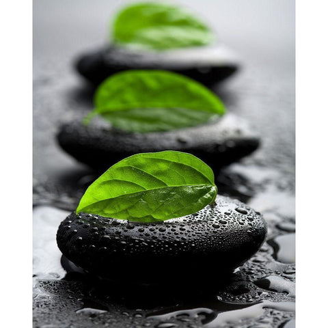 Bien-être Black Modern Wood Framed Art Print by Braun Studio