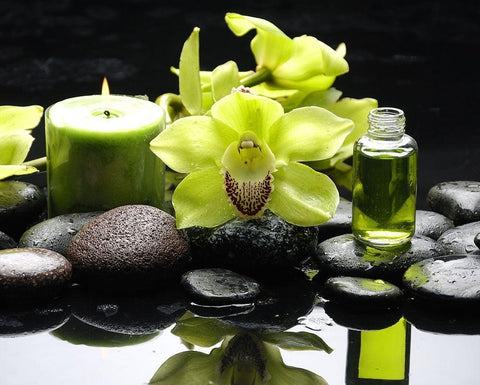 Aromathérapy White Modern Wood Framed Art Print with Double Matting by Braun Studio