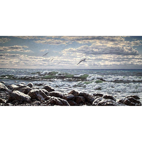 Sea and Stones II Black Modern Wood Framed Art Print by Adamov, Alexey
