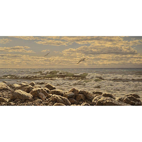 Sea and Stones I Gold Ornate Wood Framed Art Print with Double Matting by Adamov, Alexey