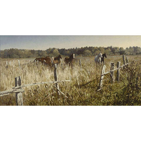 On the Field Black Modern Wood Framed Art Print with Double Matting by Adamov, Alexey