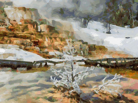 Great Yellowstone NP 7 Black Ornate Wood Framed Art Print with Double Matting by Medeiros, Celito