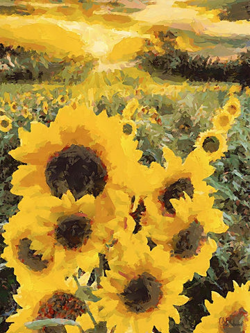 Sunflowers Collection IV Black Ornate Wood Framed Art Print with Double Matting by Medeiros, Celito