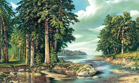 Pine Bay Black Ornate Wood Framed Art Print with Double Matting by Krol, Wieslaw