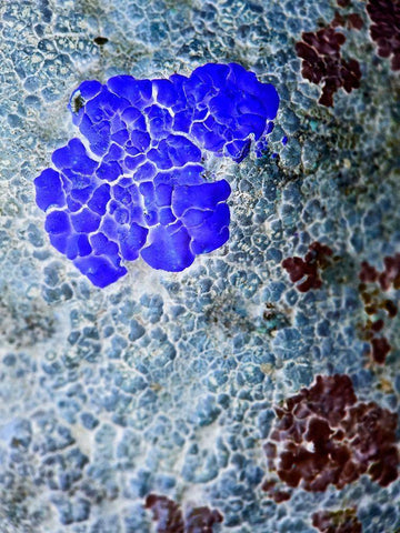 Texture Group IV White Modern Wood Framed Art Print with Double Matting by Grayscale