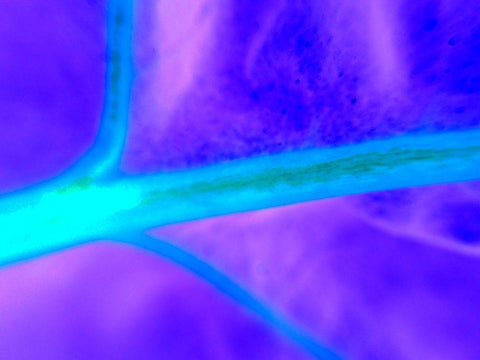 Energy Connection I White Modern Wood Framed Art Print with Double Matting by Grayscale