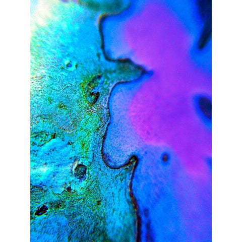 Natural Boundary I Gold Ornate Wood Framed Art Print with Double Matting by Grayscale