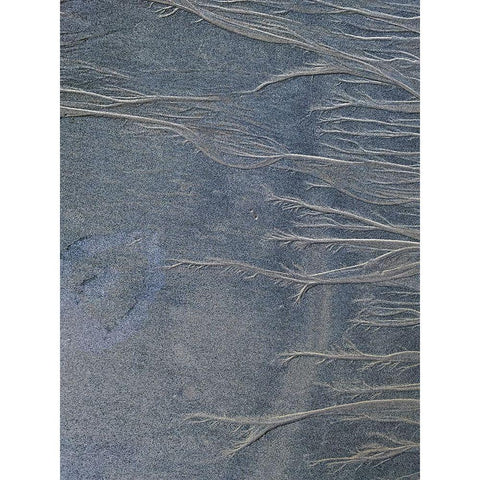 Sand Fibers II Black Modern Wood Framed Art Print with Double Matting by Grayscale
