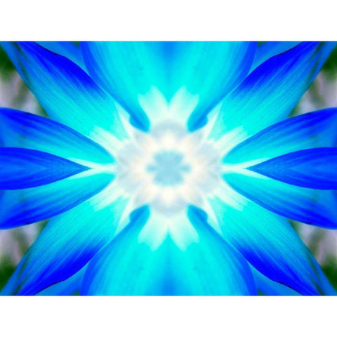 Flower Medallion V Black Modern Wood Framed Art Print with Double Matting by Grayscale