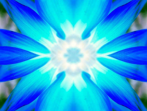 Flower Medallion V Black Ornate Wood Framed Art Print with Double Matting by Grayscale