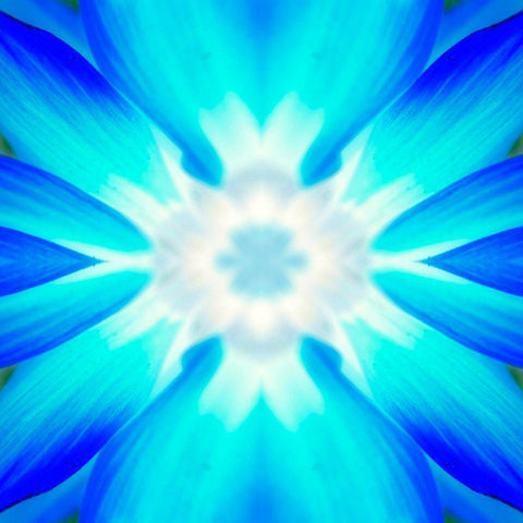 Flower Medallion IV White Modern Wood Framed Art Print by Grayscale