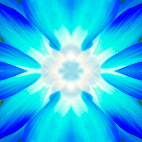 Flower Medallion IV White Modern Wood Framed Art Print with Double Matting by Grayscale