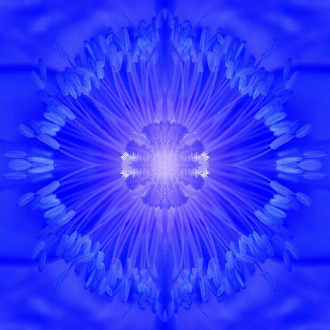 Flower Medallion I White Modern Wood Framed Art Print with Double Matting by Grayscale