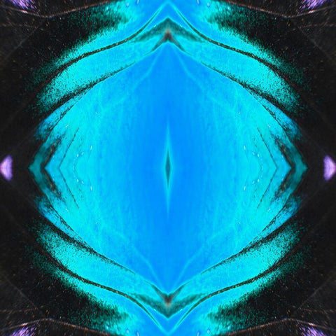 Butterfly Eye II Black Modern Wood Framed Art Print by Grayscale