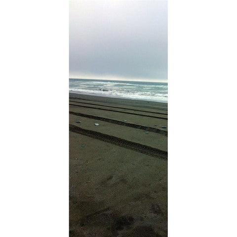 Beach Tracks I Gold Ornate Wood Framed Art Print with Double Matting by Grayscale