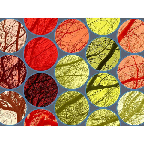 Circle Textures IV Gold Ornate Wood Framed Art Print with Double Matting by Grayscale