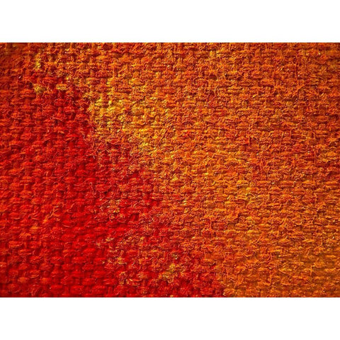 Canvas Closeup II Black Modern Wood Framed Art Print by Grayscale
