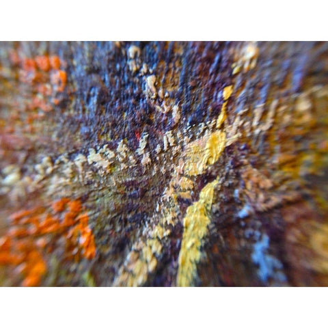 Paint Closeup IX Gold Ornate Wood Framed Art Print with Double Matting by Grayscale