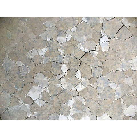 Parched Earth I White Modern Wood Framed Art Print by Grayscale