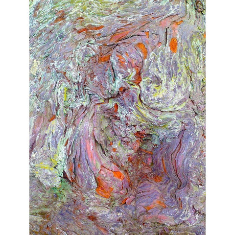 Bark Lava I Black Modern Wood Framed Art Print with Double Matting by Grayscale