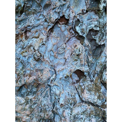 Bark Scales III White Modern Wood Framed Art Print by Grayscale