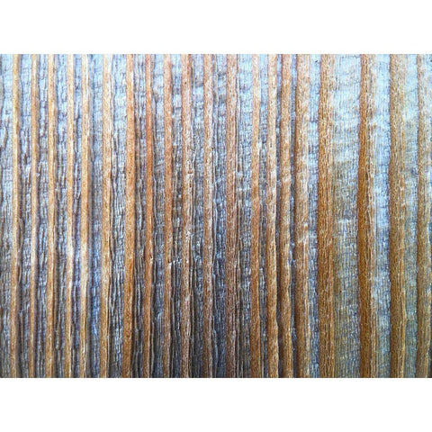 Bark Stripes I Gold Ornate Wood Framed Art Print with Double Matting by Grayscale