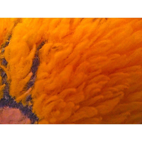 Orange Furry I White Modern Wood Framed Art Print by Grayscale
