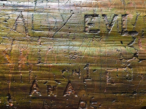 Wood Texture VII White Modern Wood Framed Art Print with Double Matting by Grayscale