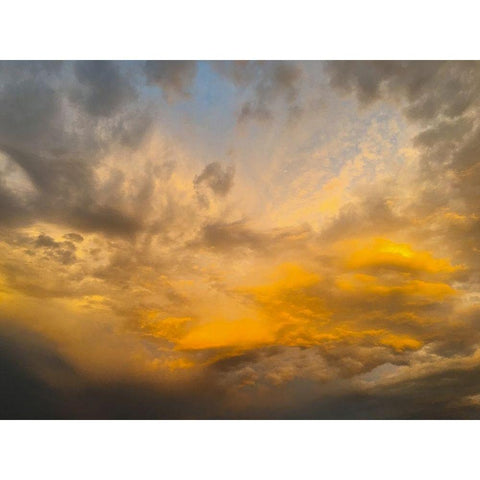 Arizona Sunset II Gold Ornate Wood Framed Art Print with Double Matting by Grayscale