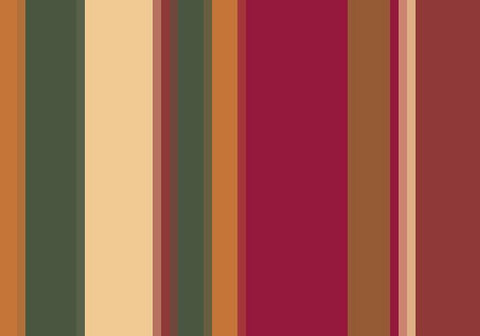 Warm Stripes IV Black Ornate Wood Framed Art Print with Double Matting by Grayscale