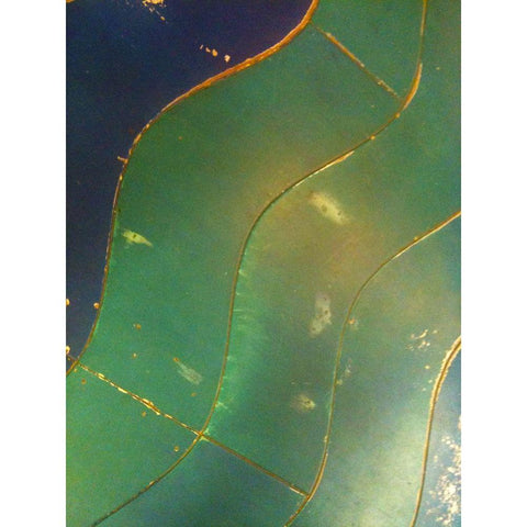 Wave Floor I Gold Ornate Wood Framed Art Print with Double Matting by Grayscale