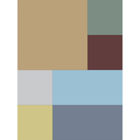 Soft Blocks III Gold Ornate Wood Framed Art Print with Double Matting by Grayscale