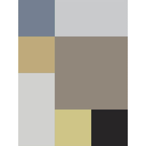 Soft Blocks XIX Gold Ornate Wood Framed Art Print with Double Matting by Grayscale