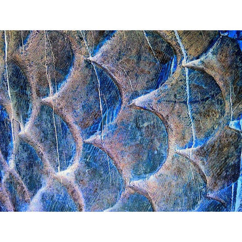 Wooden Scales II White Modern Wood Framed Art Print by Grayscale