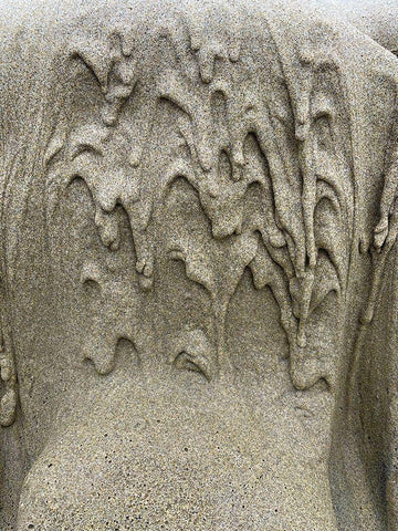 Wet Sand IX Black Ornate Wood Framed Art Print with Double Matting by Grayscale
