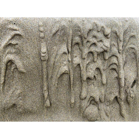 Wet Sand X Gold Ornate Wood Framed Art Print with Double Matting by Grayscale