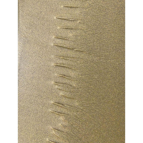 Sand Stripe III Gold Ornate Wood Framed Art Print with Double Matting by Grayscale
