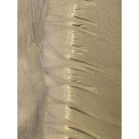 Sand Stripe IV Gold Ornate Wood Framed Art Print with Double Matting by Grayscale