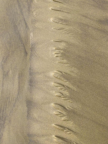 Sand Stripe V White Modern Wood Framed Art Print with Double Matting by Grayscale