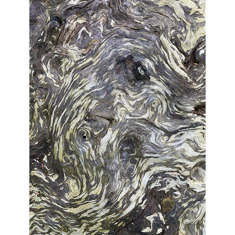 The Scream II Black Modern Wood Framed Art Print with Double Matting by Grayscale